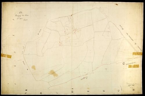Parigny-les-Vaux, cadastre ancien : plan parcellaire de la section M