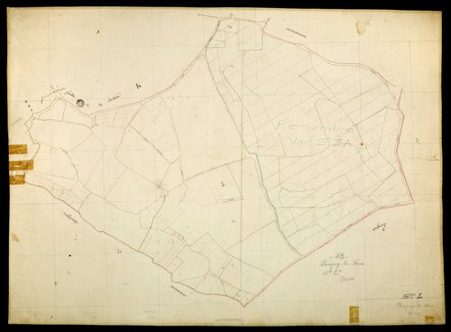 Parigny-les-Vaux, cadastre ancien : plan parcellaire de la section L