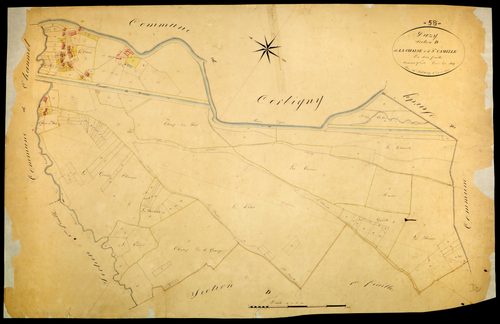 Pazy, cadastre ancien : plan parcellaire de la section D dite de la Chaise et de Sainte-Camille, feuille 2