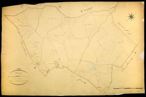 Pazy, cadastre ancien : plan parcellaire de la section A dite d'Ardan, feuille 3