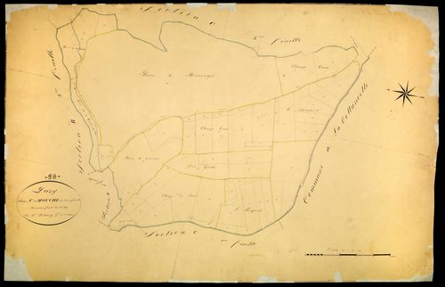 Pazy, cadastre ancien : plan parcellaire de la section C dite de Mouches, feuille 3