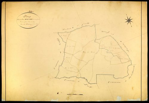 Pazy, cadastre ancien : plan parcellaire de la section C dite de Mouches, feuille 1