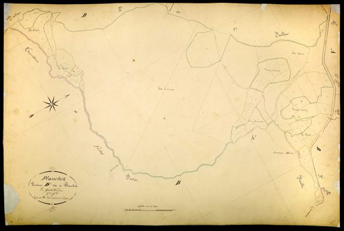 Planchez, cadastre ancien : plan parcellaire de la section D dite de Planchot, feuille 3