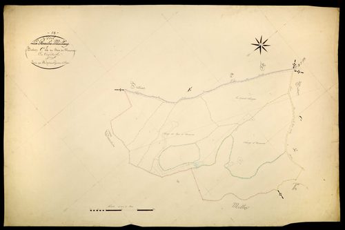 Poil, cadastre ancien : plan parcellaire de la section C dite du Bois du Mousseau, feuille 5