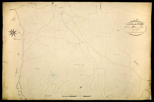 Poil, cadastre ancien : plan parcellaire de la section D dite de Poil, feuille 4
