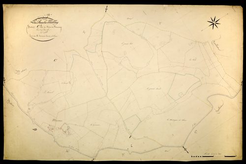 Poil, cadastre ancien : plan parcellaire de la section C dite du Bois du Mousseau, feuille 2