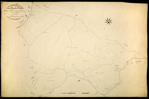 Poil, cadastre ancien : plan parcellaire de la section C dite du Bois du Mousseau, feuille 4