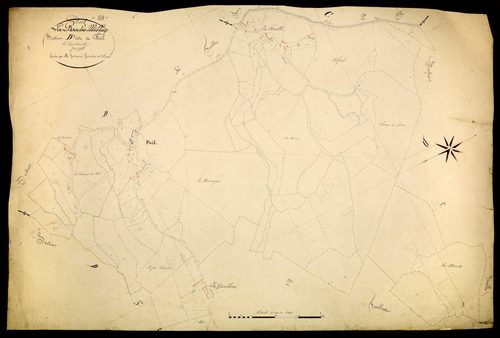 Poil, cadastre ancien : plan parcellaire de la section D dite de Poil, feuille 3