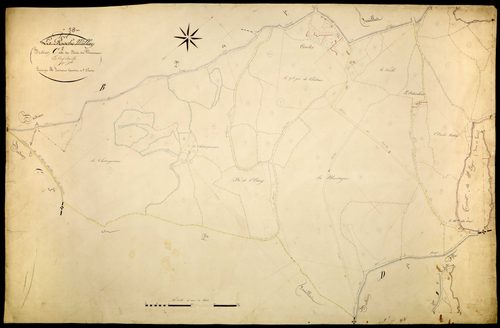 Poil, cadastre ancien : plan parcellaire de la section C dite du Bois du Mousseau, feuille 1