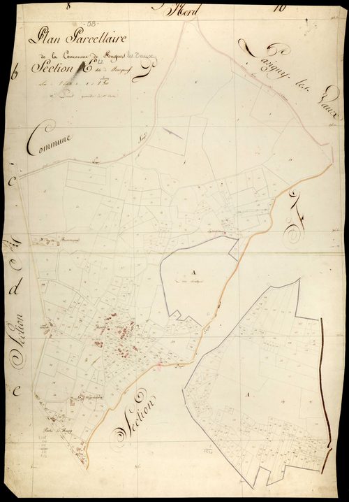 Pougues-les-Eaux, cadastre ancien : plan parcellaire de la section E dite de Bourgneuf