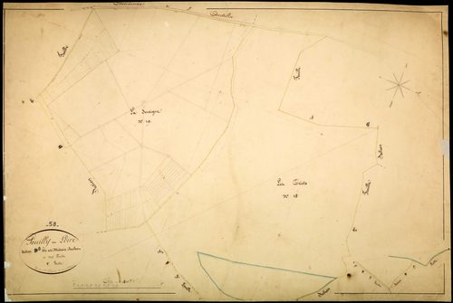 Pouilly-sur-Loire, cadastre ancien : plan parcellaire de la section D dite de la Métairie Buchot, feuille 8