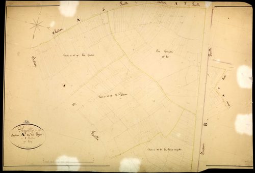 Pouilly-sur-Loire, cadastre ancien : plan parcellaire de la section A dite des Loges, feuille 7