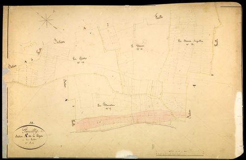 Pouilly-sur-Loire, cadastre ancien : plan parcellaire de la section A dite des Loges, feuille 6
