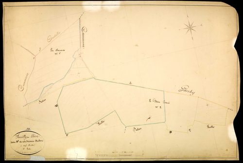 Pouilly-sur-Loire, cadastre ancien : plan parcellaire de la section D dite de la Métairie Buchot, feuille 1