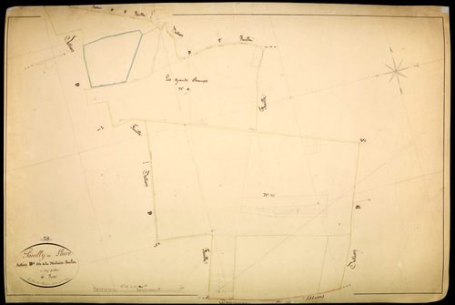 Pouilly-sur-Loire, cadastre ancien : plan parcellaire de la section D dite de la Métairie Buchot, feuille 4