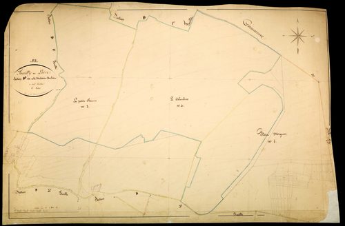 Pouilly-sur-Loire, cadastre ancien : plan parcellaire de la section D dite de la Métairie Buchot, feuille 2
