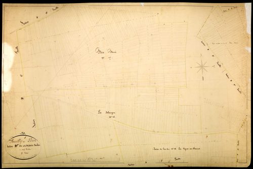 Pouilly-sur-Loire, cadastre ancien : plan parcellaire de la section D dite de la Métairie Buchot, feuille 7