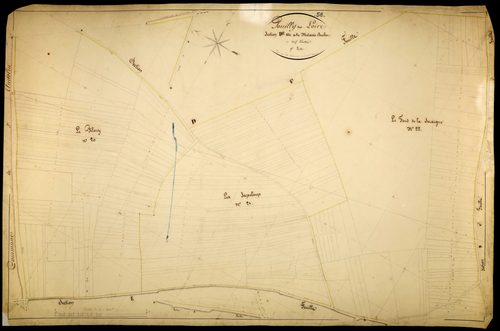 Pouilly-sur-Loire, cadastre ancien : plan parcellaire de la section D dite de la Métairie Buchot, feuille 9