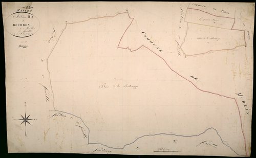 Raveau, cadastre ancien : plan parcellaire de la section D dite de Dourdon, feuille 2