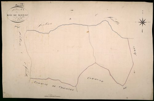 Raveau, cadastre ancien : plan parcellaire de la section C dite des Bois de Raveau, feuille 3