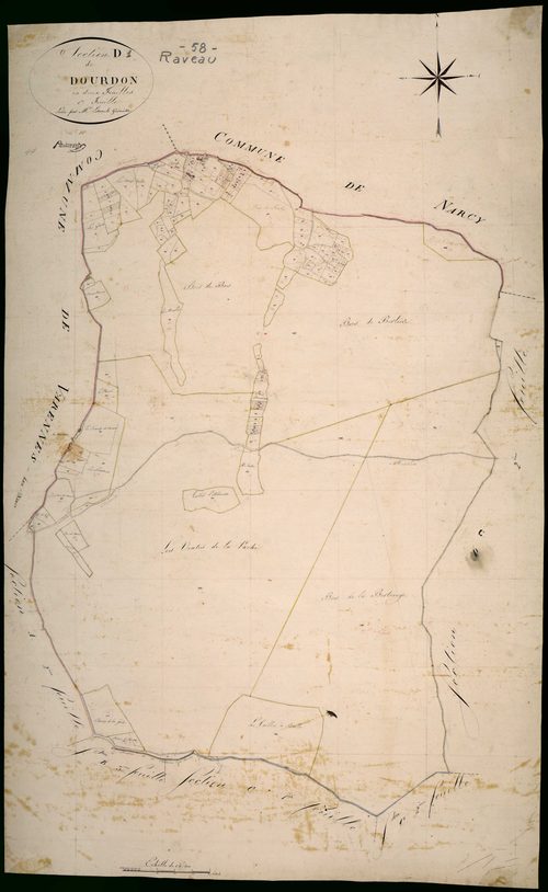 Raveau, cadastre ancien : plan parcellaire de la section D dite de Dourdon, feuille 1
