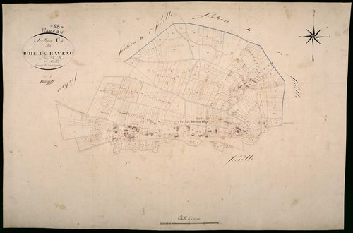 Raveau, cadastre ancien : plan parcellaire de la section C dite des Bois de Raveau, feuille 2