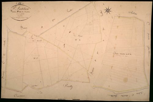 Saint-Andelain, cadastre ancien : plan parcellaire de la section D dite du Bouchot, feuille 1