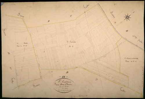 Saint-Andelain, cadastre ancien : plan parcellaire de la section D dite du Bouchot, feuille 2