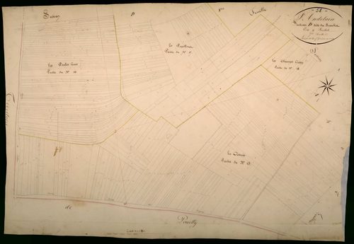 Saint-Andelain, cadastre ancien : plan parcellaire de la section D dite du Bouchot, feuille 7