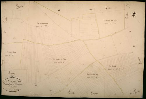 Saint-Andelain, cadastre ancien : plan parcellaire de la section D dite du Bouchot, feuille 4
