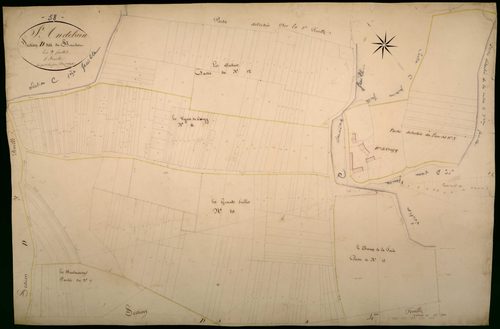Saint-Andelain, cadastre ancien : plan parcellaire de la section D dite du Bouchot, feuille 5