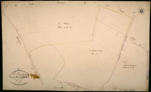 Saint-Andelain, cadastre ancien : plan parcellaire de la section D dite du Bouchot, feuille 6