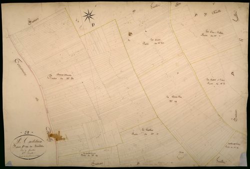 Saint-Andelain, cadastre ancien : plan parcellaire de la section D dite du Bouchot, feuille 8