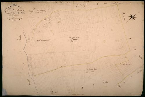 Saint-Andelain, cadastre ancien : plan parcellaire de la section A dite des Bois Chatin, feuille 6