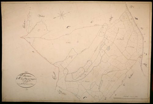 Saint-Brisson, cadastre ancien : plan parcellaire de la section C dite de l'Hâte au Sergent, feuille 5