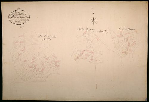 Saint-Brisson, cadastre ancien : plan parcellaire de la section B dite de la Queue de l'Étang, feuilles 4 et 6, développement