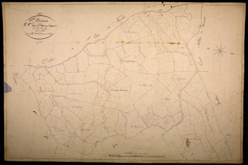 Saint-Brisson, cadastre ancien : plan parcellaire de la section C dite de l'Hâte au Sergent, feuille 2