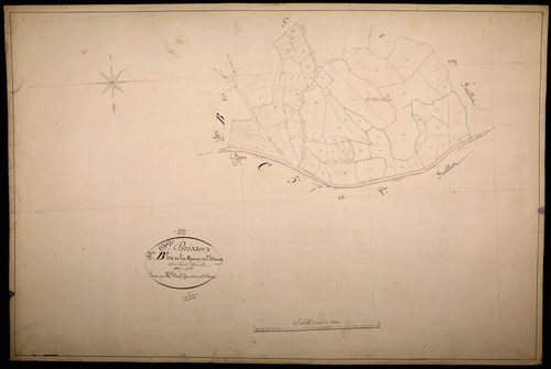 Saint-Brisson, cadastre ancien : plan parcellaire de la section B dite de la Queue de l'Étang, feuille 7