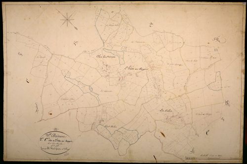 Saint-Brisson, cadastre ancien : plan parcellaire de la section C dite de l'Hâte au Sergent, feuille 4