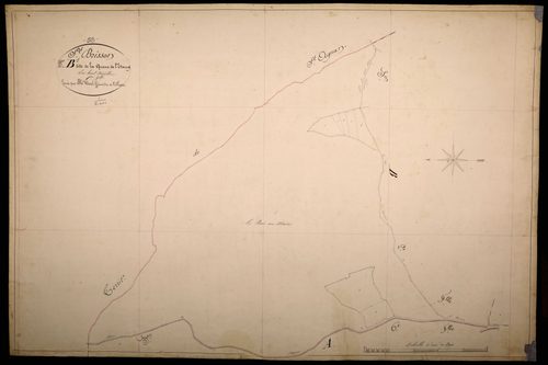 Saint-Brisson, cadastre ancien : plan parcellaire de la section B dite de la Queue de l'Étang, feuille 1