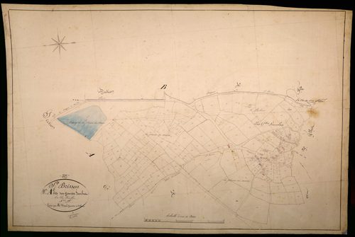 Saint-Brisson, cadastre ancien : plan parcellaire de la section A dite des Grandes Fourches, feuille 5
