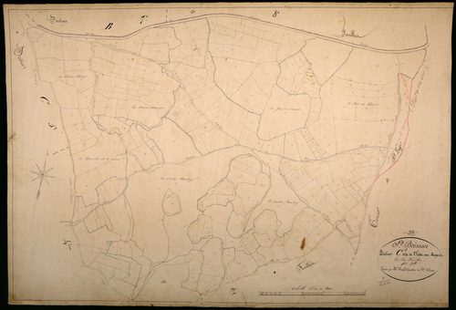 Saint-Brisson, cadastre ancien : plan parcellaire de la section C dite de l'Hâte au Sergent, feuille 1