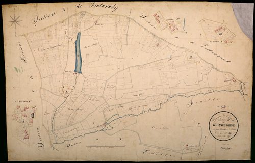 Sainte-Colombe-des-Bois, cadastre ancien : plan parcellaire de la section D dite de Sainte-Colombe, feuille 1
