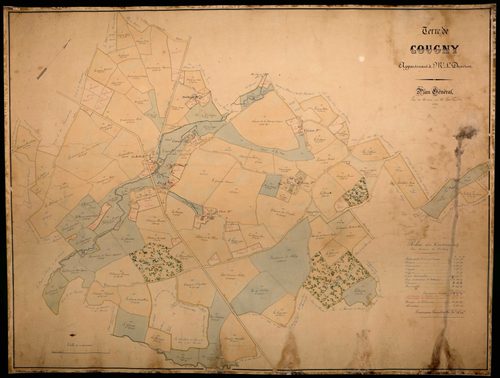 Saint-Jean-aux-Amognes, cadastre ancien : plan de la terre de Cougny