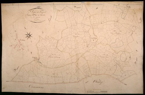 Saint-Léger-de-Fougeret, cadastre ancien : plan parcellaire de la section D dite des Michots, feuille 4