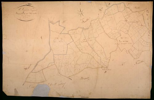 Saint-Léger-de-Fougeret, cadastre ancien : plan parcellaire de la section D dite des Michots, feuille 5