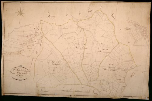 Saint-Léger-de-Fougeret, cadastre ancien : plan parcellaire de la section C dite de Poiseux, feuille 5