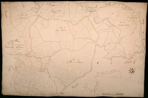 Saint-Léger-de-Fougeret, cadastre ancien : plan parcellaire de la section C dite de Poiseux, feuille 3
