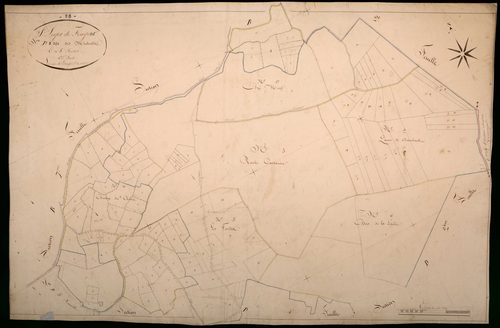 Saint-Léger-de-Fougeret, cadastre ancien : plan parcellaire de la section D dite des Michots, feuille 1