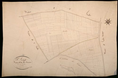 Saint-Loup, cadastre ancien : plan parcellaire de la section E dite des Maraux, feuille 2